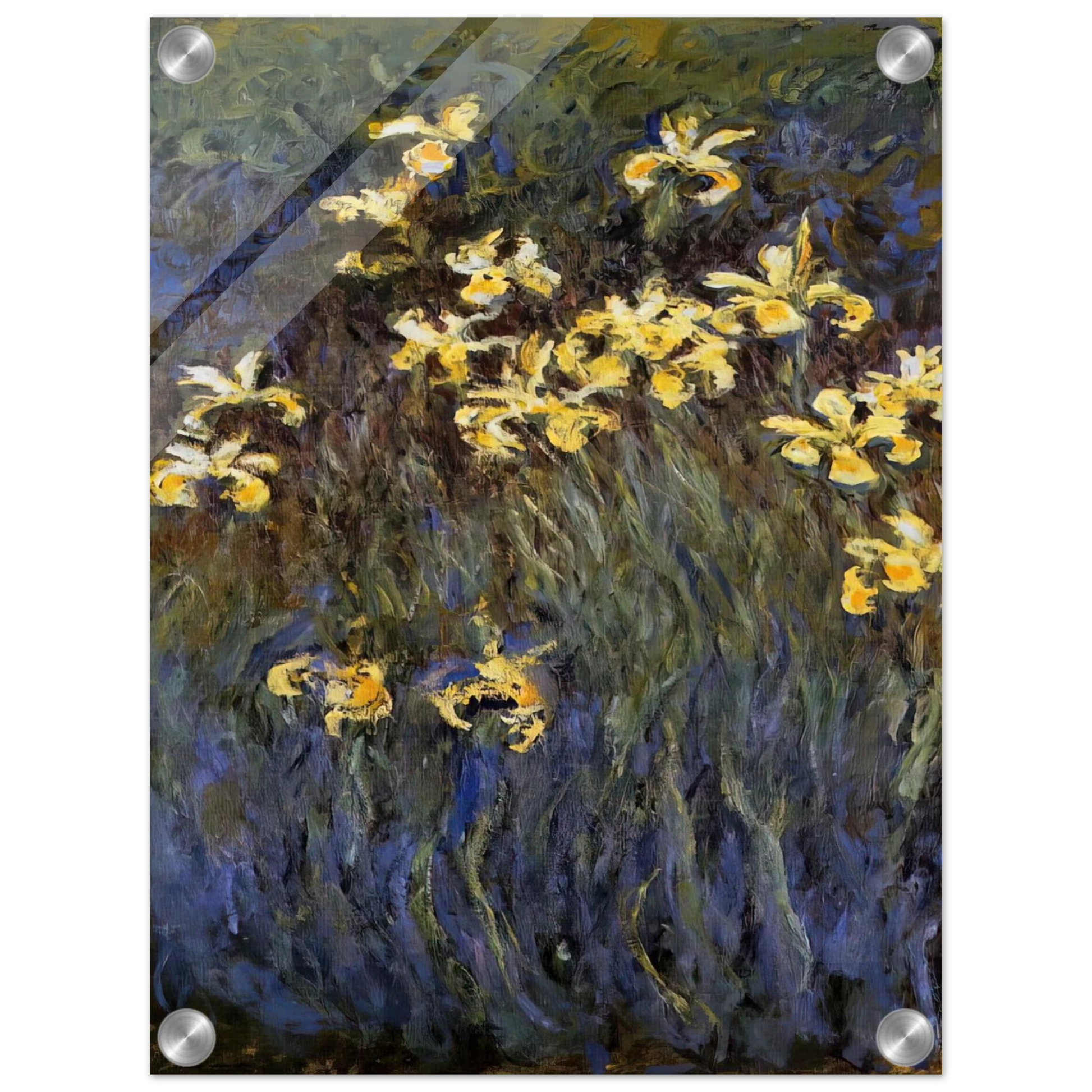 5baef5ba-eb7d-414b-8e2f-c4e4a5b6539e