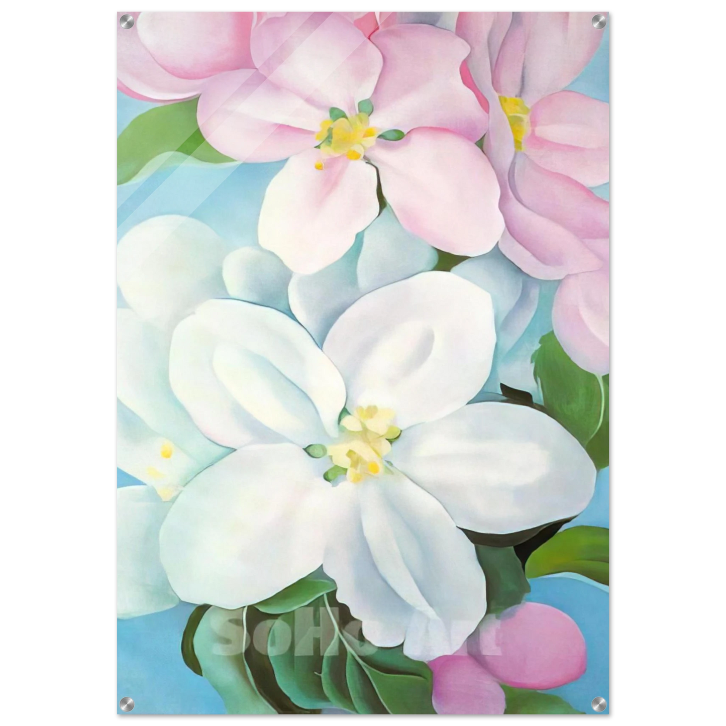 5dc09f33-b456-41ab-b7bc-947161e96bdb