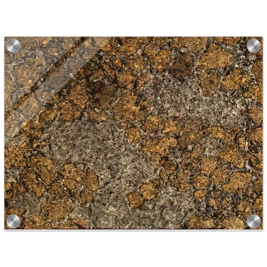 5e184a59-d2a3-4d48-bc19-f92ca0b160e5