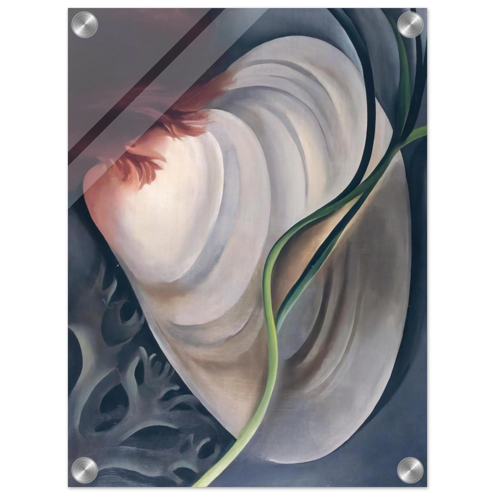 5e3aa2c0-a3ec-405a-88c0-ee5c2c62bd93