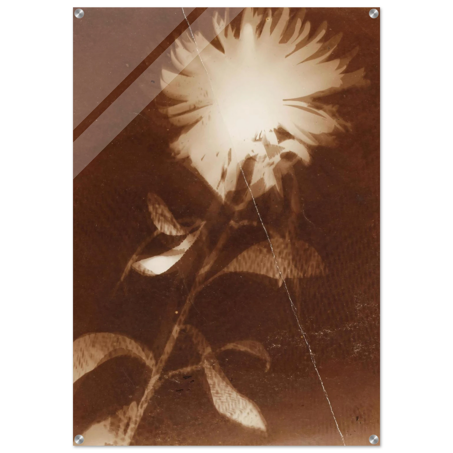 5e621a43-b12b-4660-9c95-ea19ead5df2e