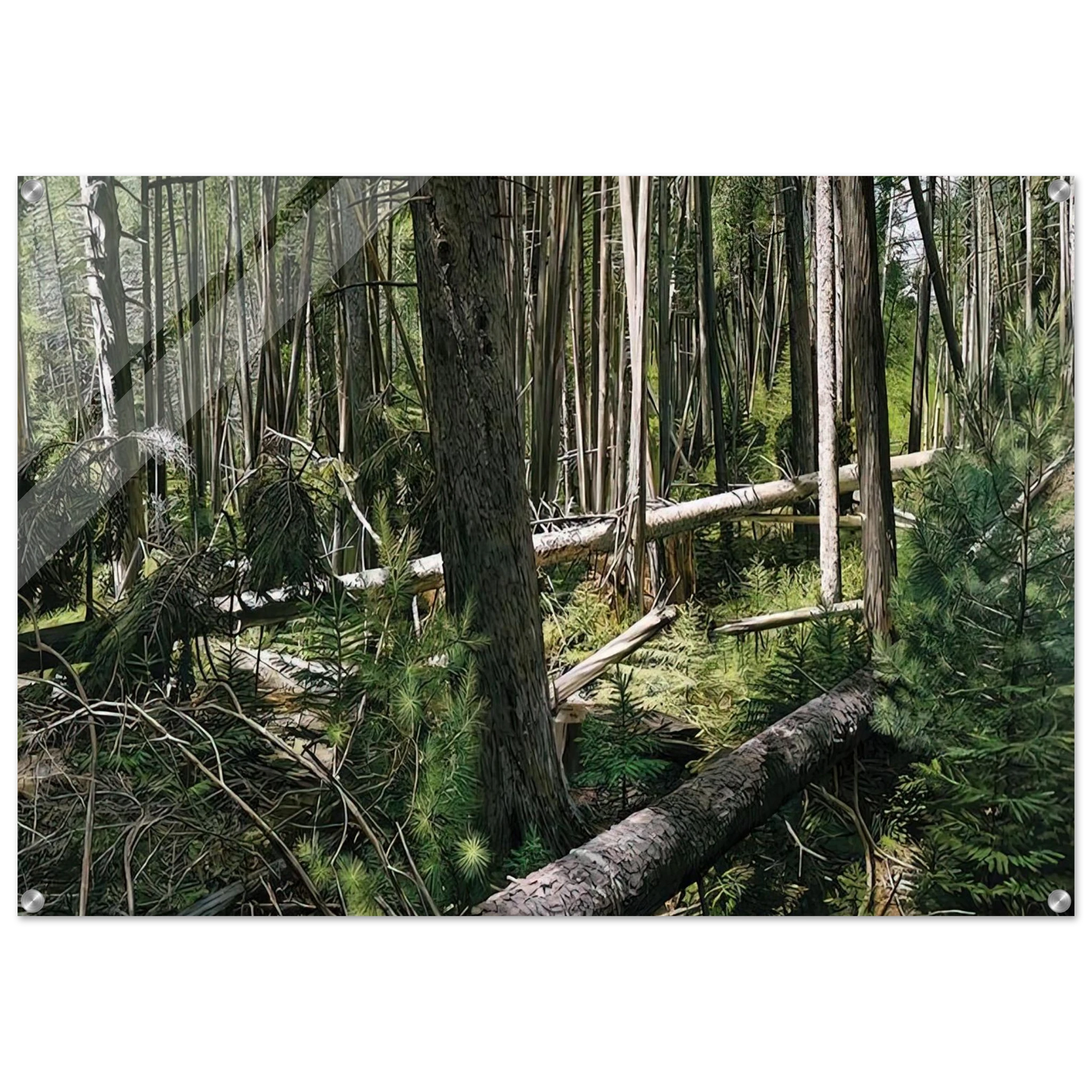 5f03f057-db84-4f5b-9392-fde6a977ed0f