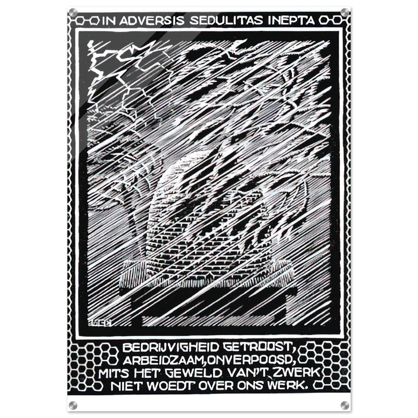 5fba5bbb-cab1-4823-8b4d-eec74c62e321