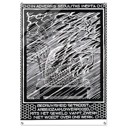 5fba5bbb-cab1-4823-8b4d-eec74c62e321