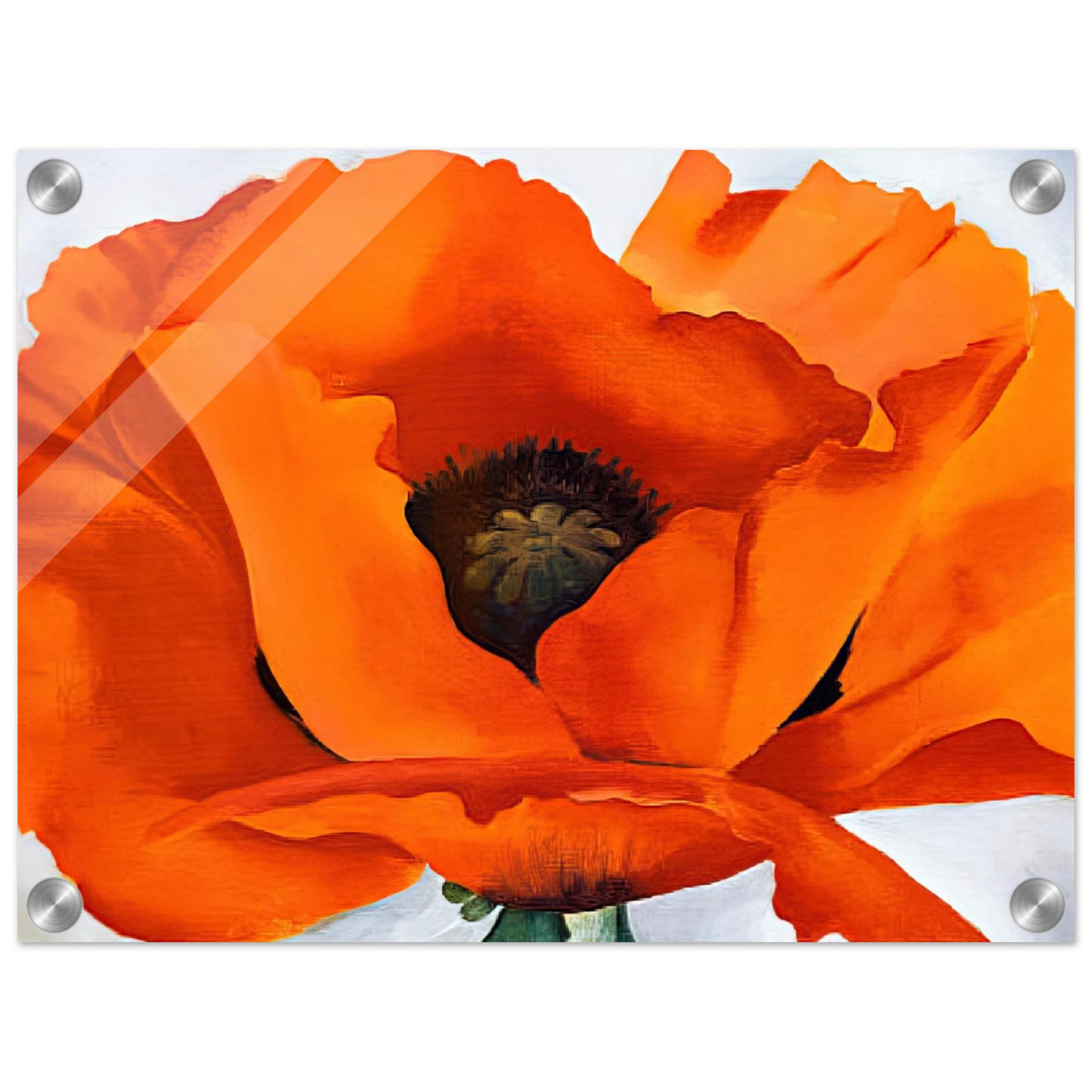 6044f04c-7aa4-42ac-844c-be7ea0b827a0