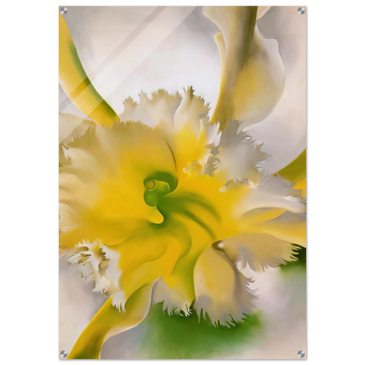 6122c81e-aa7d-435b-a969-2efa84d85691