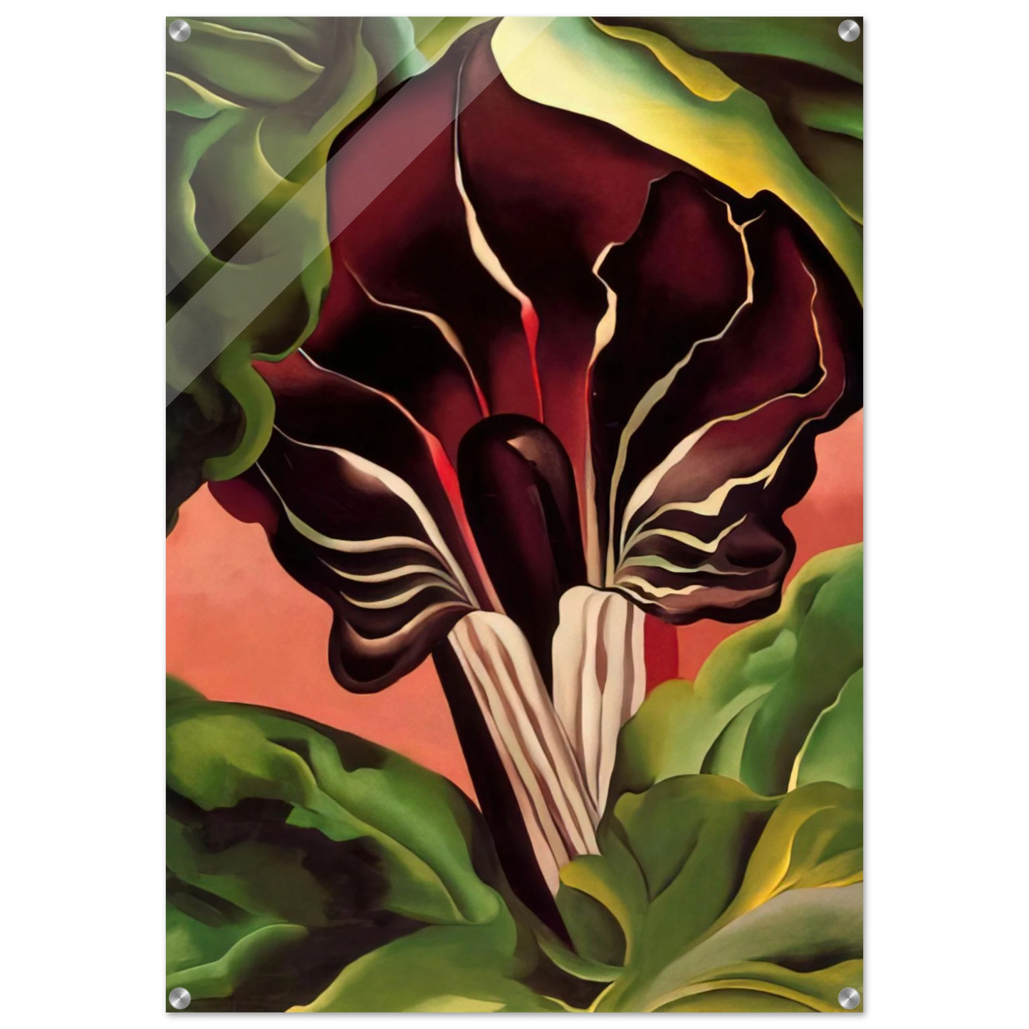 61374eda-7da0-468c-ad3a-0fd50206b39f