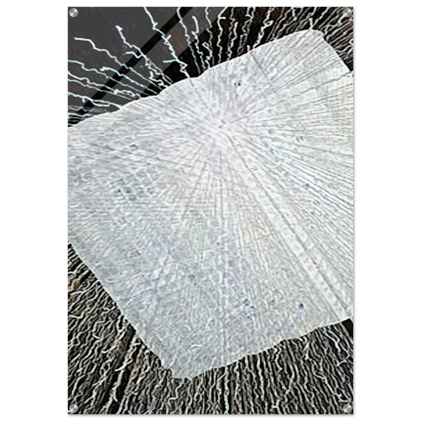 61856dc4-accc-4ddd-a02f-0c7cfd1504a4