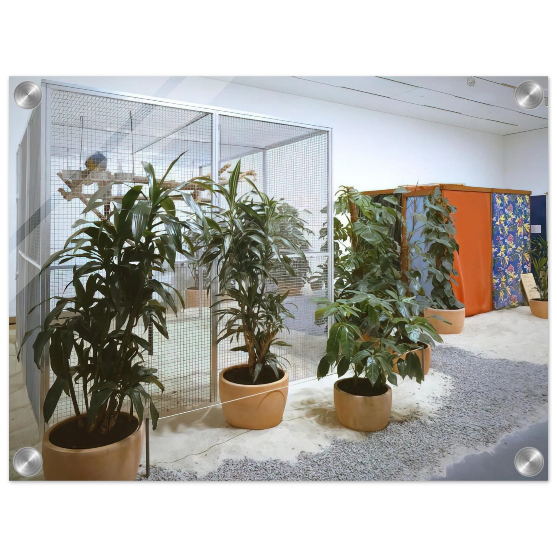 64ef520a-9f26-4fb6-80ff-4cad7e1613a4