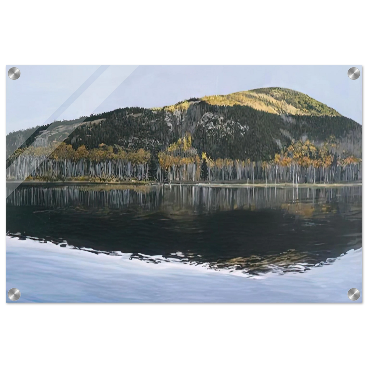 66f55d62-1aa3-499b-a240-d8c7f00e86b0