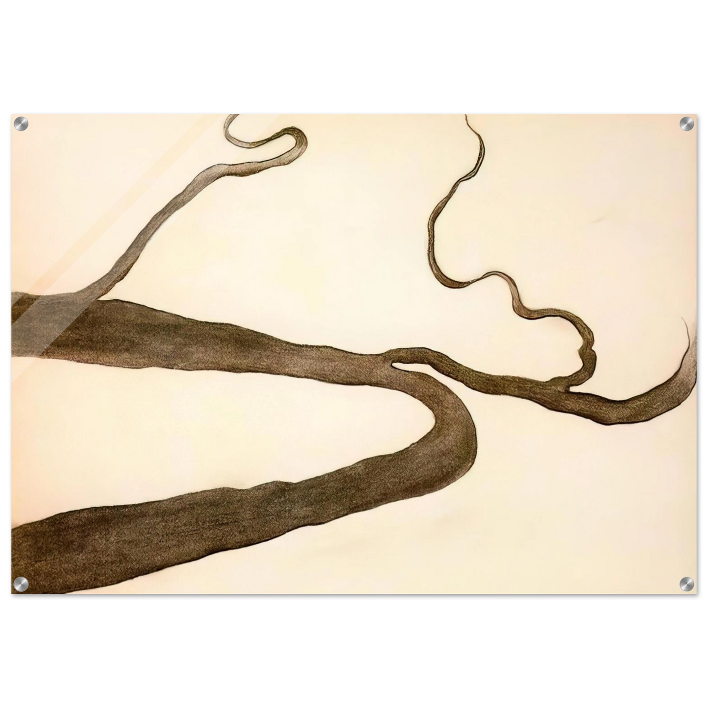 6776b19d-fa74-417f-88af-97df225b61d3