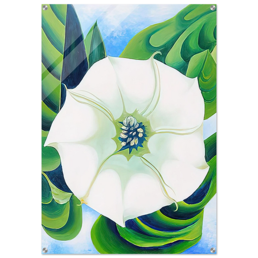 6a200eca-a7ec-41cb-9f0f-29659719d807