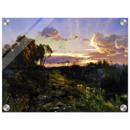 6a534877-0c6e-49bf-9eb6-65f9cb1bc42a