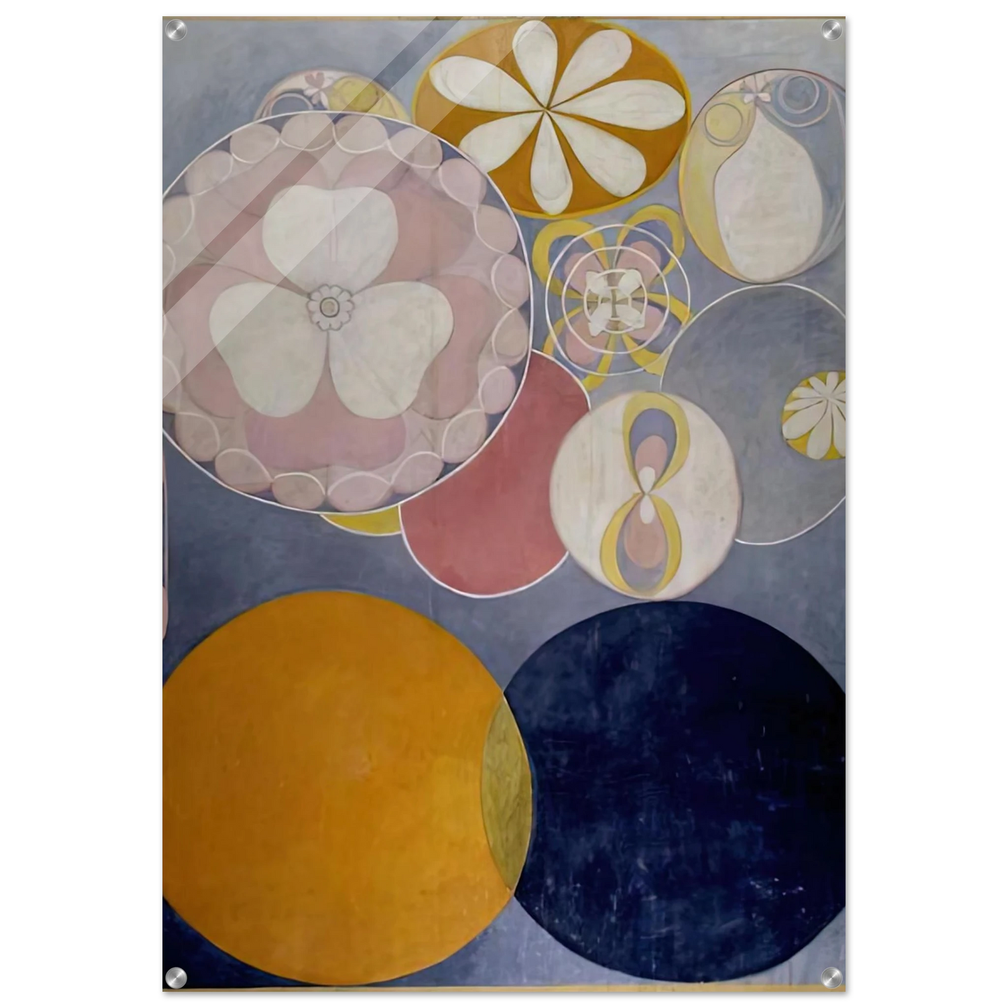 6b3e9239-79e2-4cbd-91f1-72aa9a917528