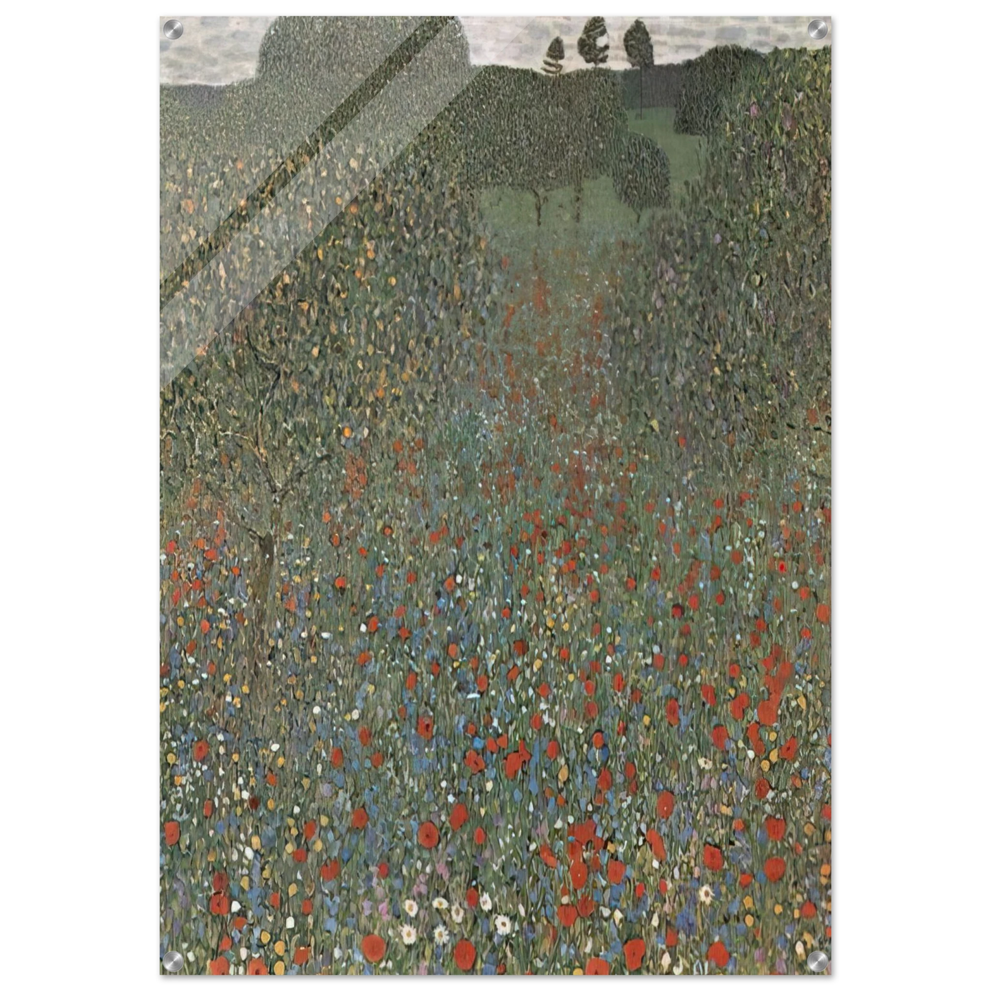 6bbeac82-1ca1-412d-90b4-a13aea016296