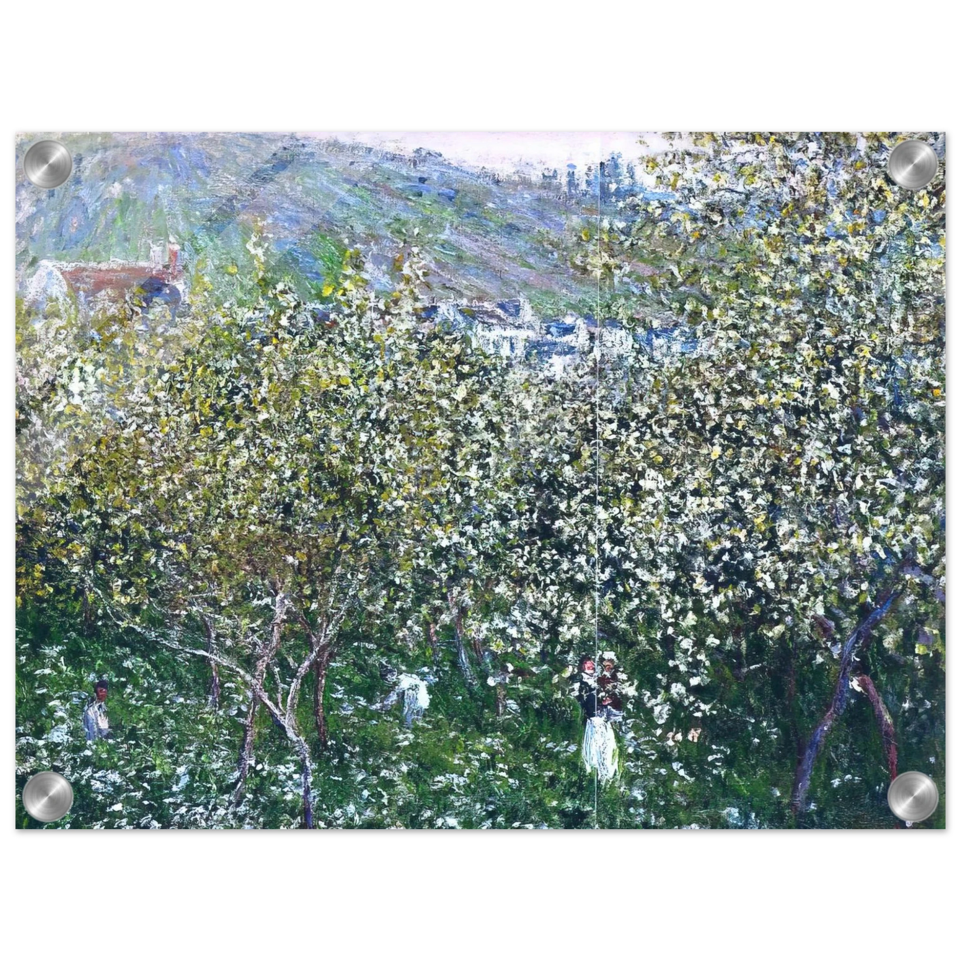 6c6a3646-a431-4725-97e5-bfdb24790b9b