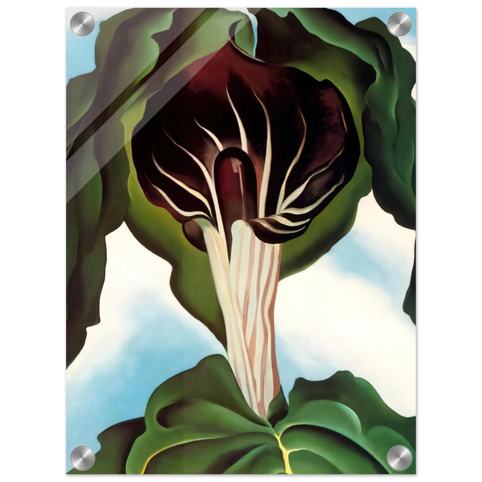 6d1eab3c-49e6-4b1e-9dd1-69c9fc7b77f9