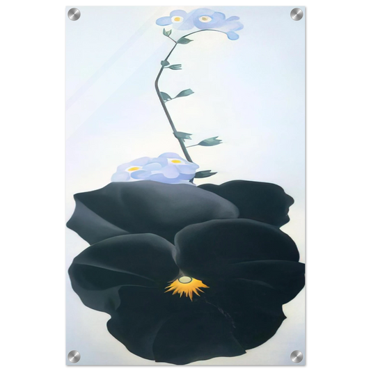 6d5074c4-ff5e-426c-92f0-d268389725e5