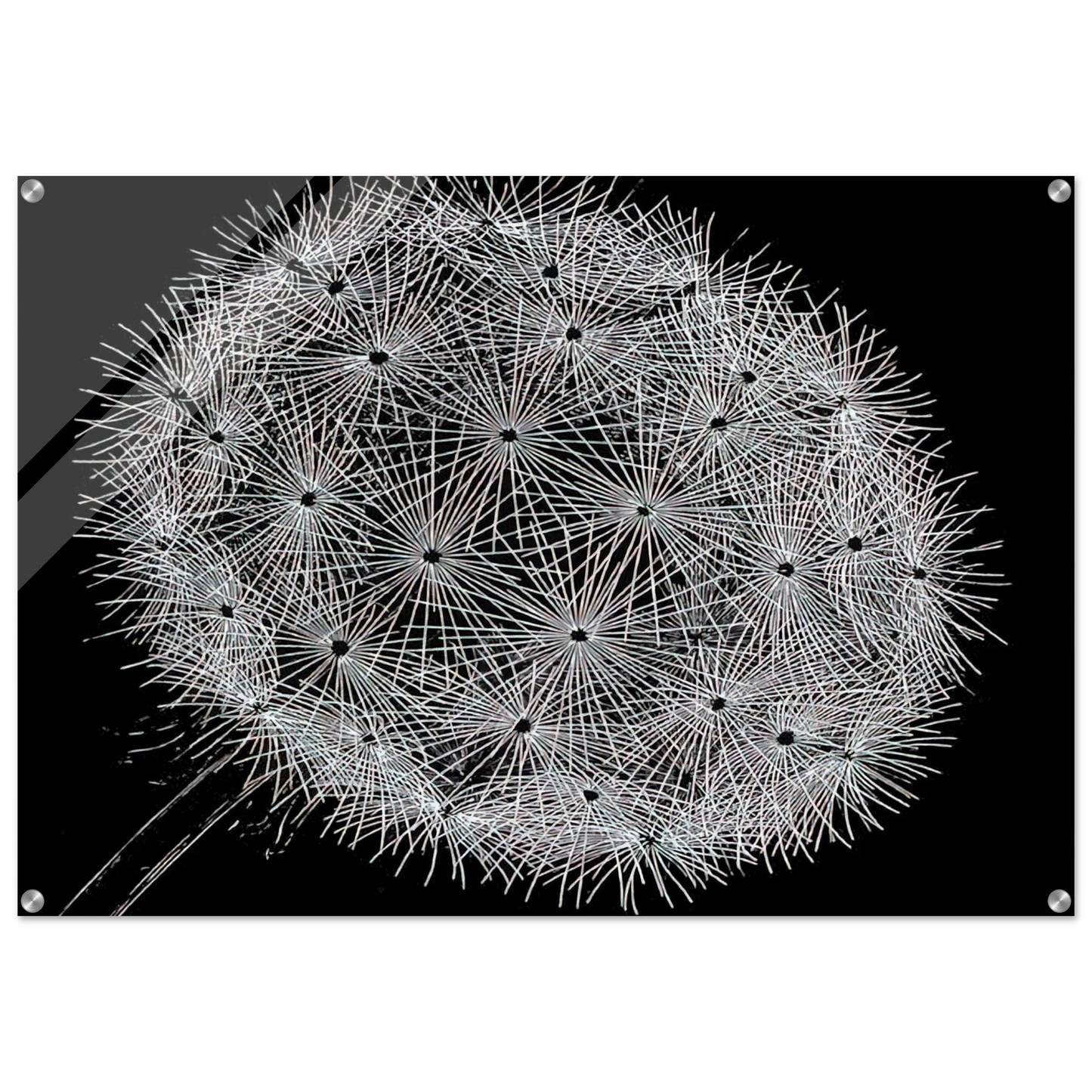 6dd29142-144b-4e3d-a7ce-0e8838ae1bfd