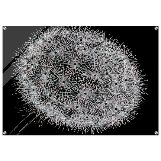 6dd29142-144b-4e3d-a7ce-0e8838ae1bfd