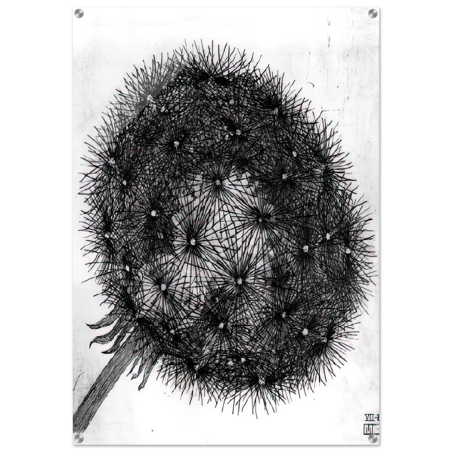 6e82bbbc-be31-4018-99b6-11a07992a97b