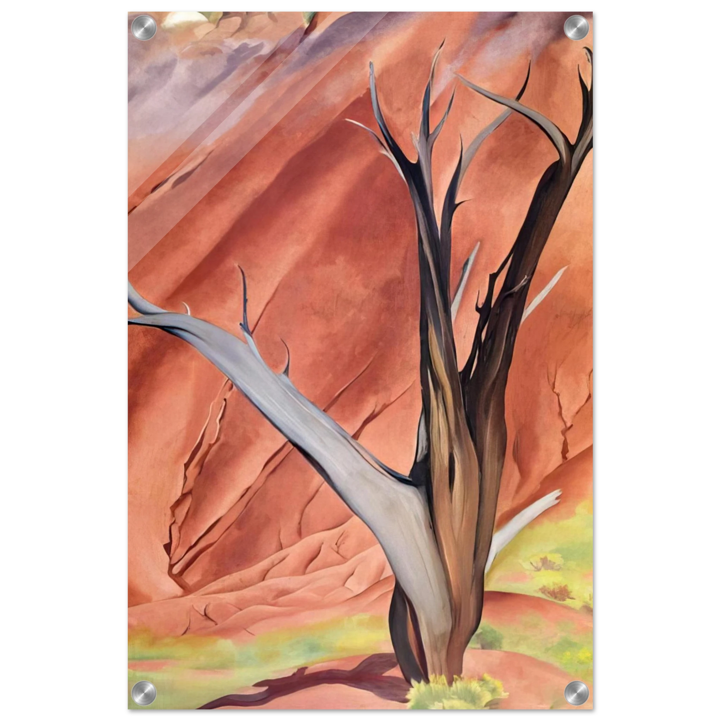 6f0e8345-4d5c-4820-9e2a-c714f7029acc