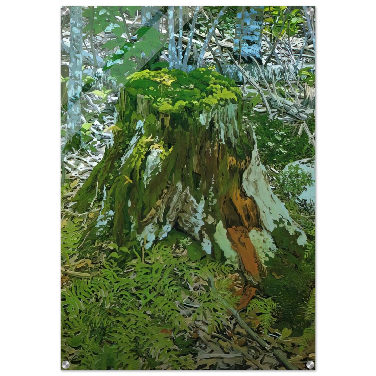 6f283b3e-5404-4819-a1c9-df3247ecd7f2