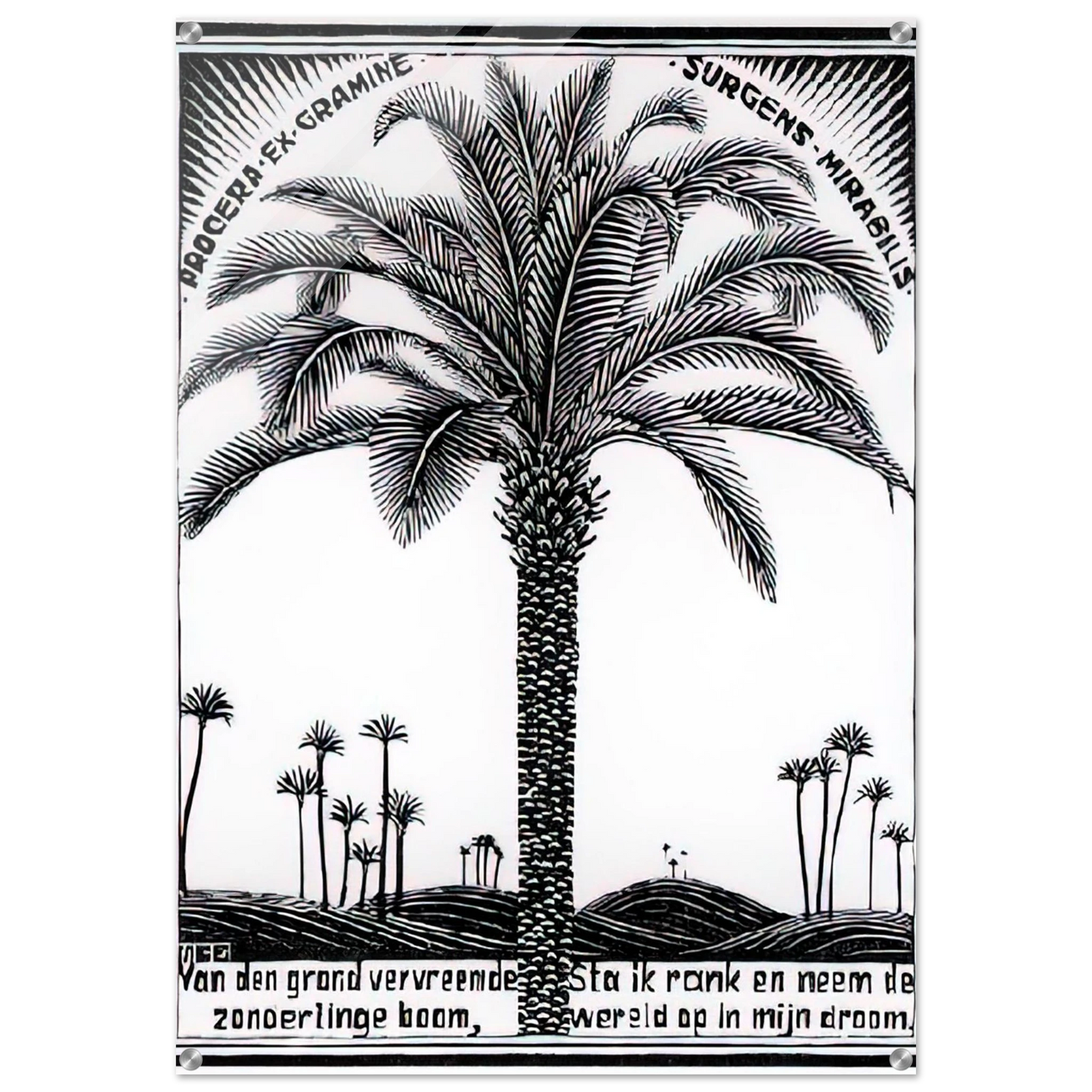 70777fbe-9df7-49e5-ac9a-178d7d7fd688