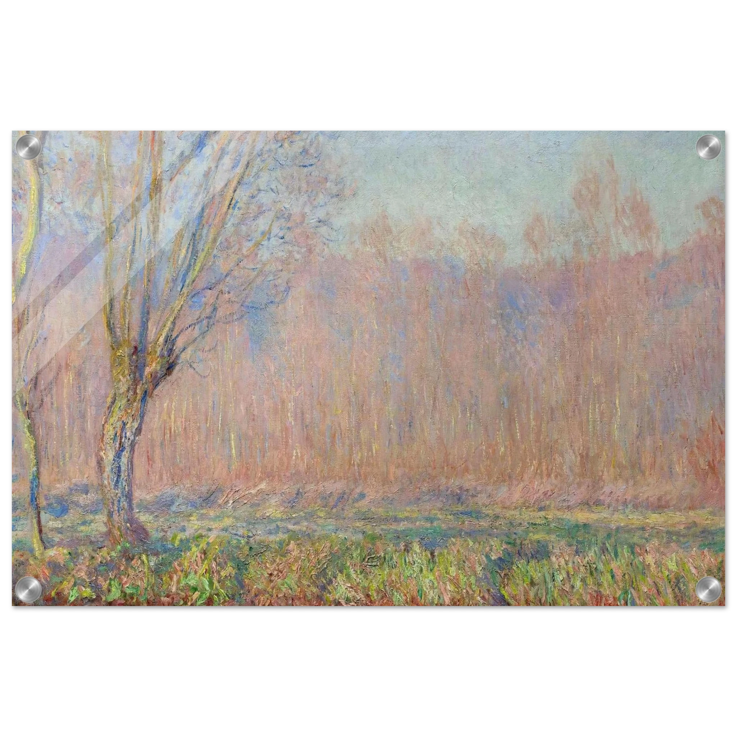 731cb9c6-9093-4662-9135-589dee3ab430