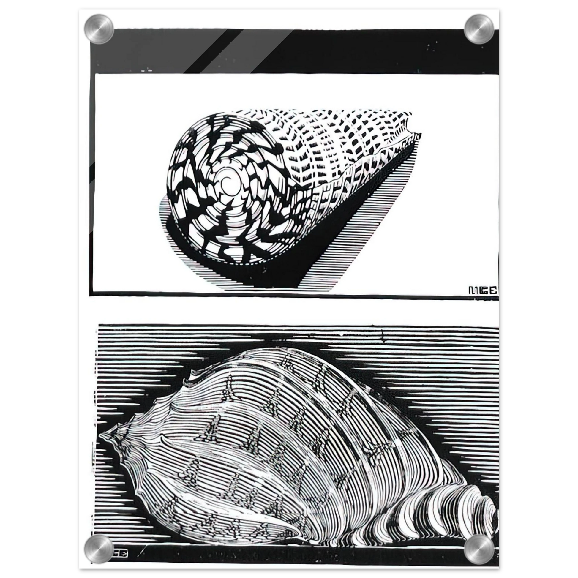 75c3e3ff-dd09-47a5-9292-e213556a3f52