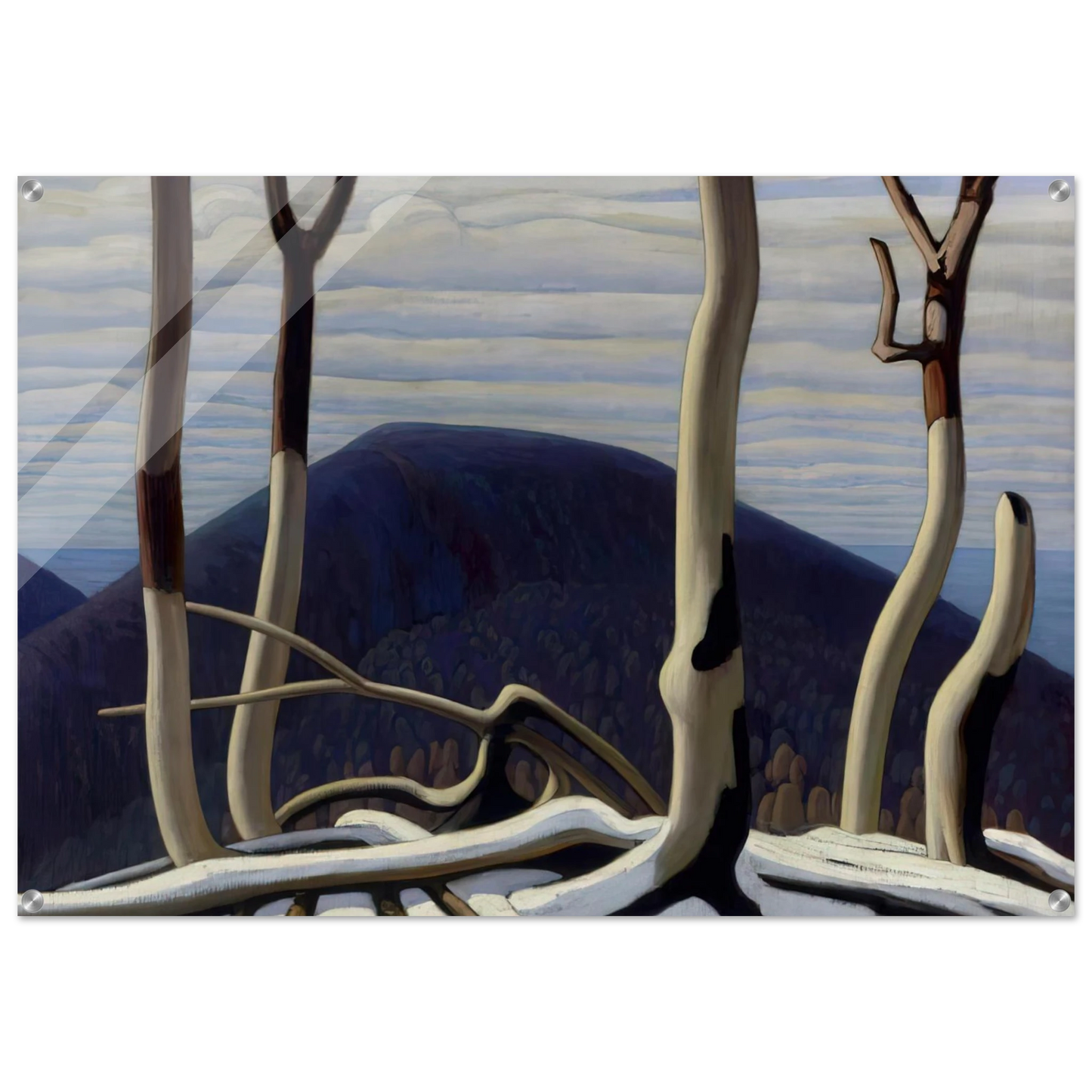 7713b9c1-c518-4aca-b9b2-bac34c5e41d7