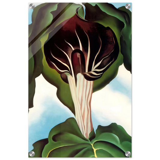 773103c9-afcb-4dff-9b2d-75df204a5080