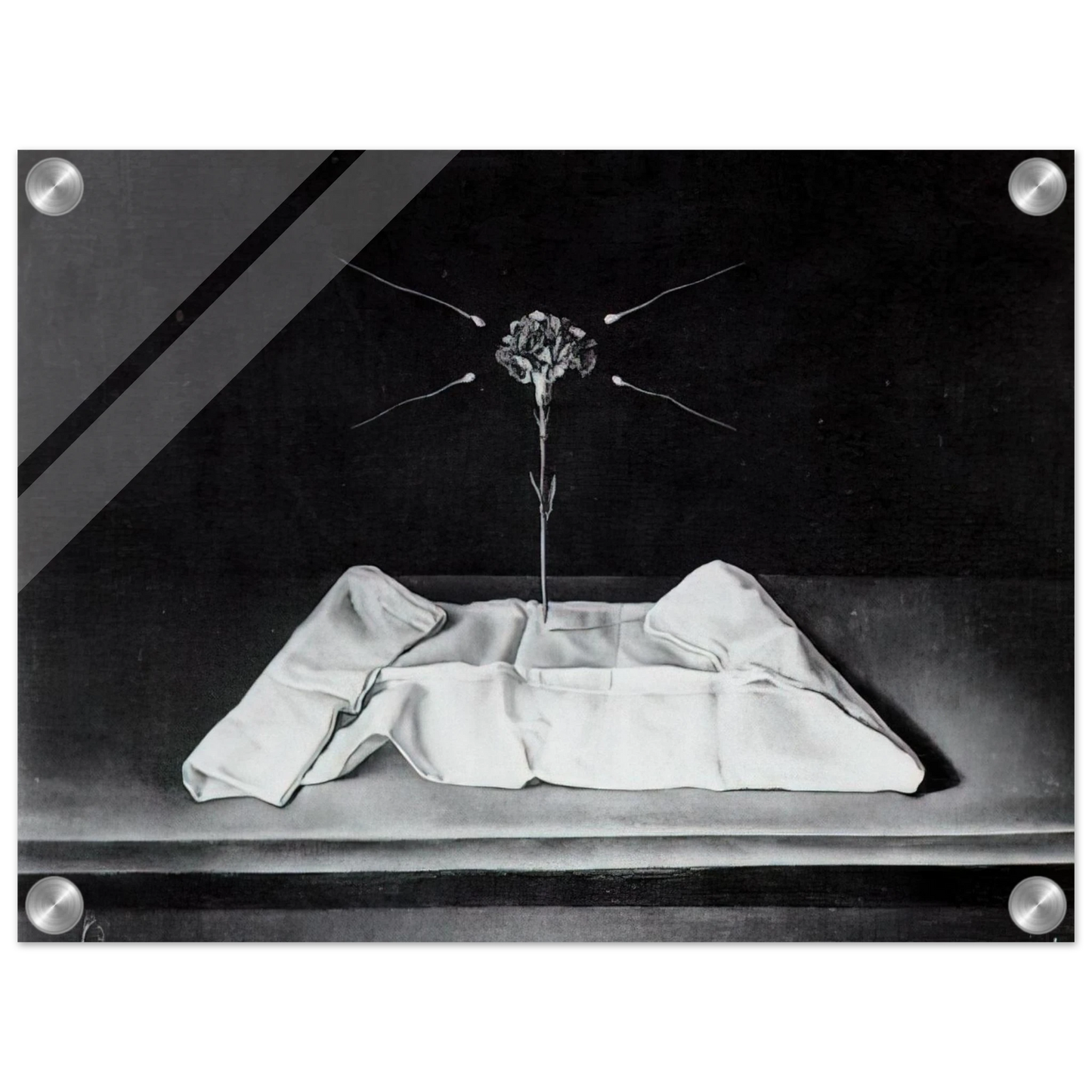 796ccd48-8edb-4794-8158-11e15d352b61