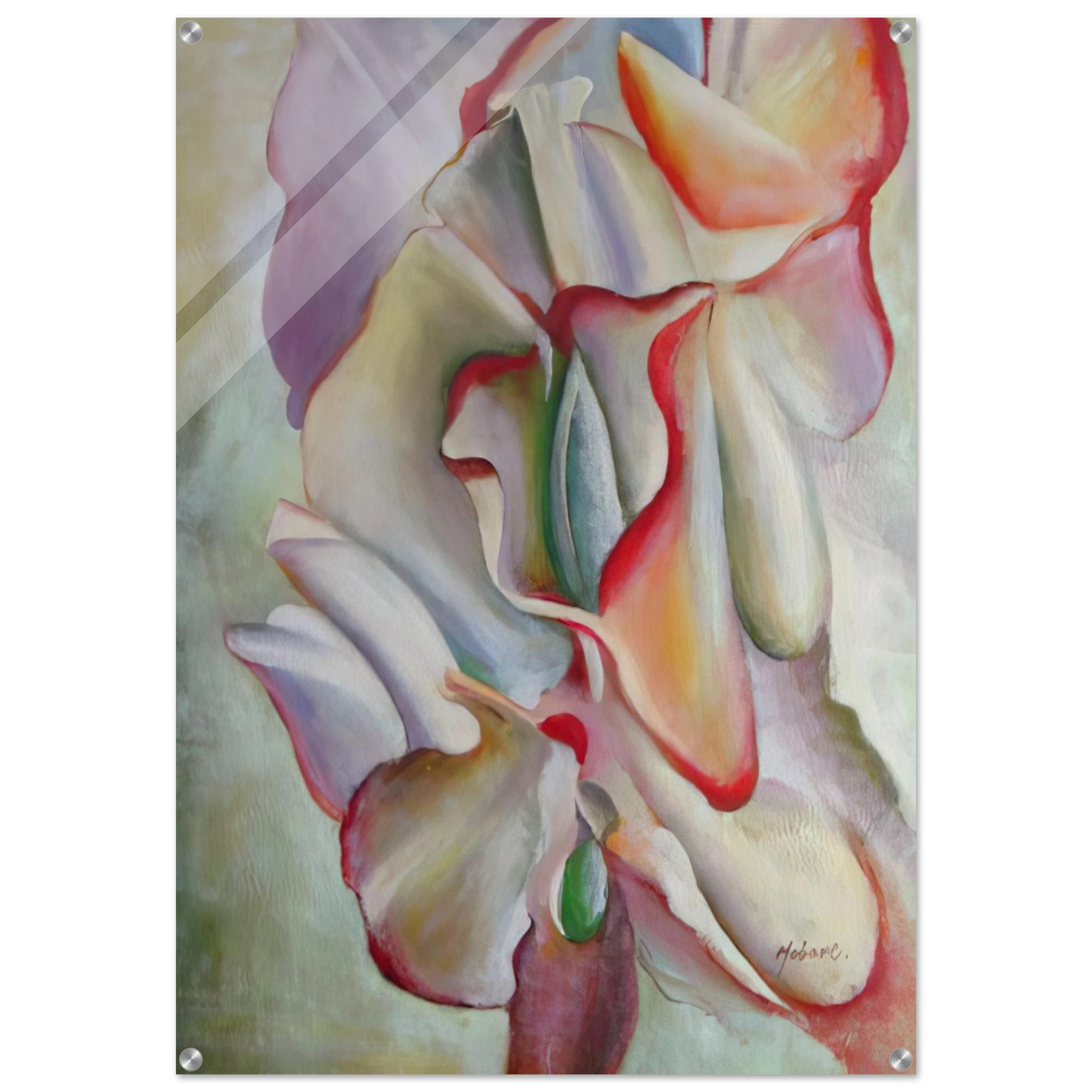 79769028-bca9-42be-8da0-699ae64417c9