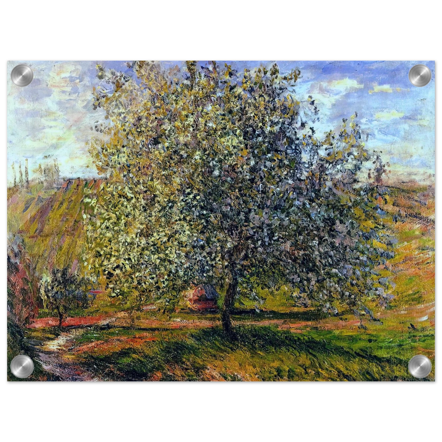 7cab62f0-d1f4-4695-af77-d371b6f65853