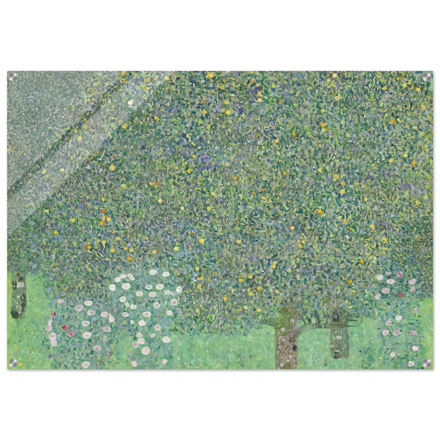 7e186b13-099e-4b71-9b18-c33d63e12c08