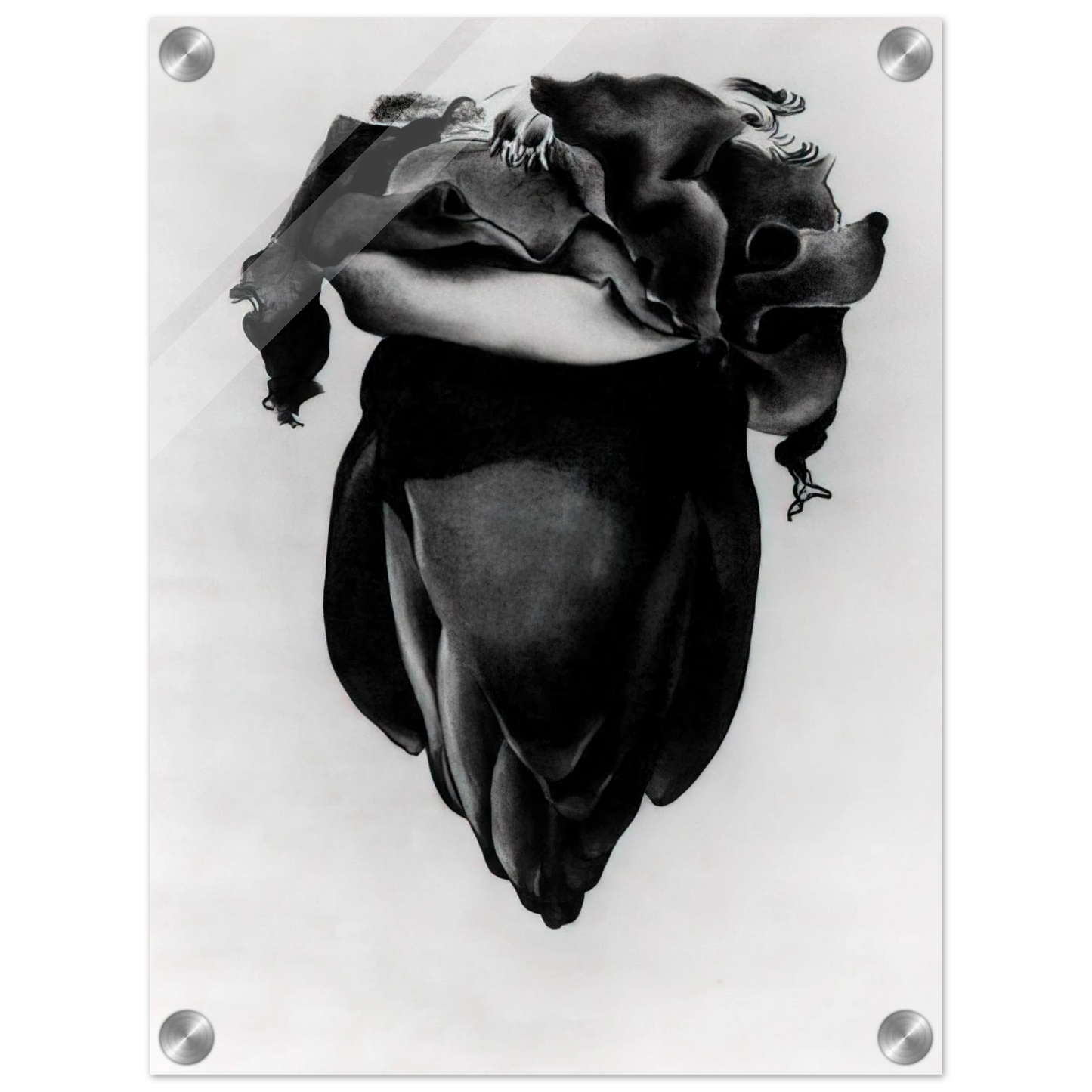 8057c56d-11ed-4e90-96a7-acc44b3d9571