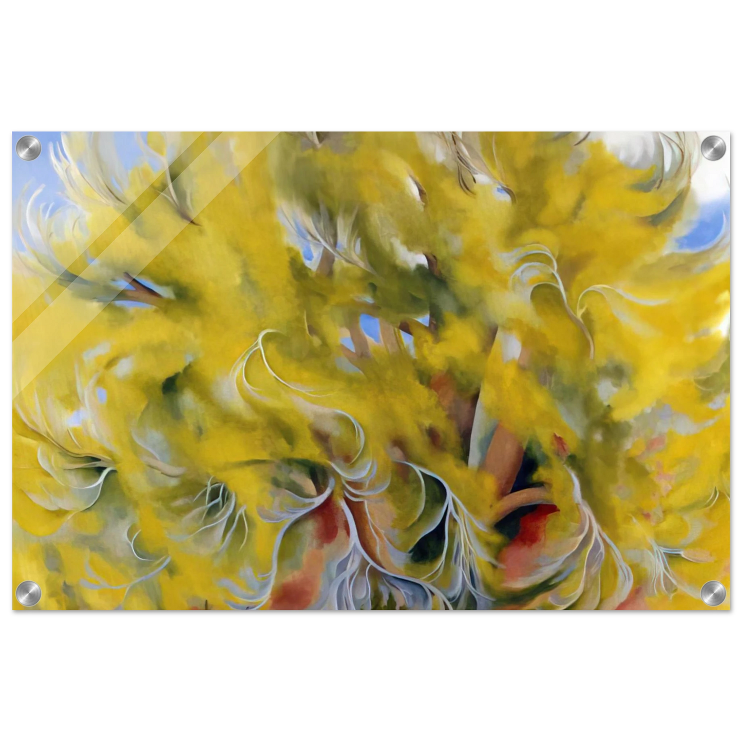 808081ec-2e02-4b2d-932d-e97796eb2bff