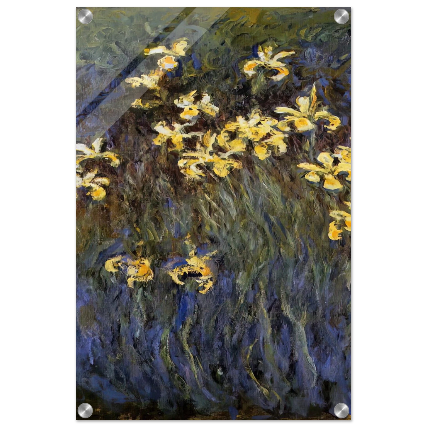 8097ebb2-320e-4122-a4a8-6d4d3185589a