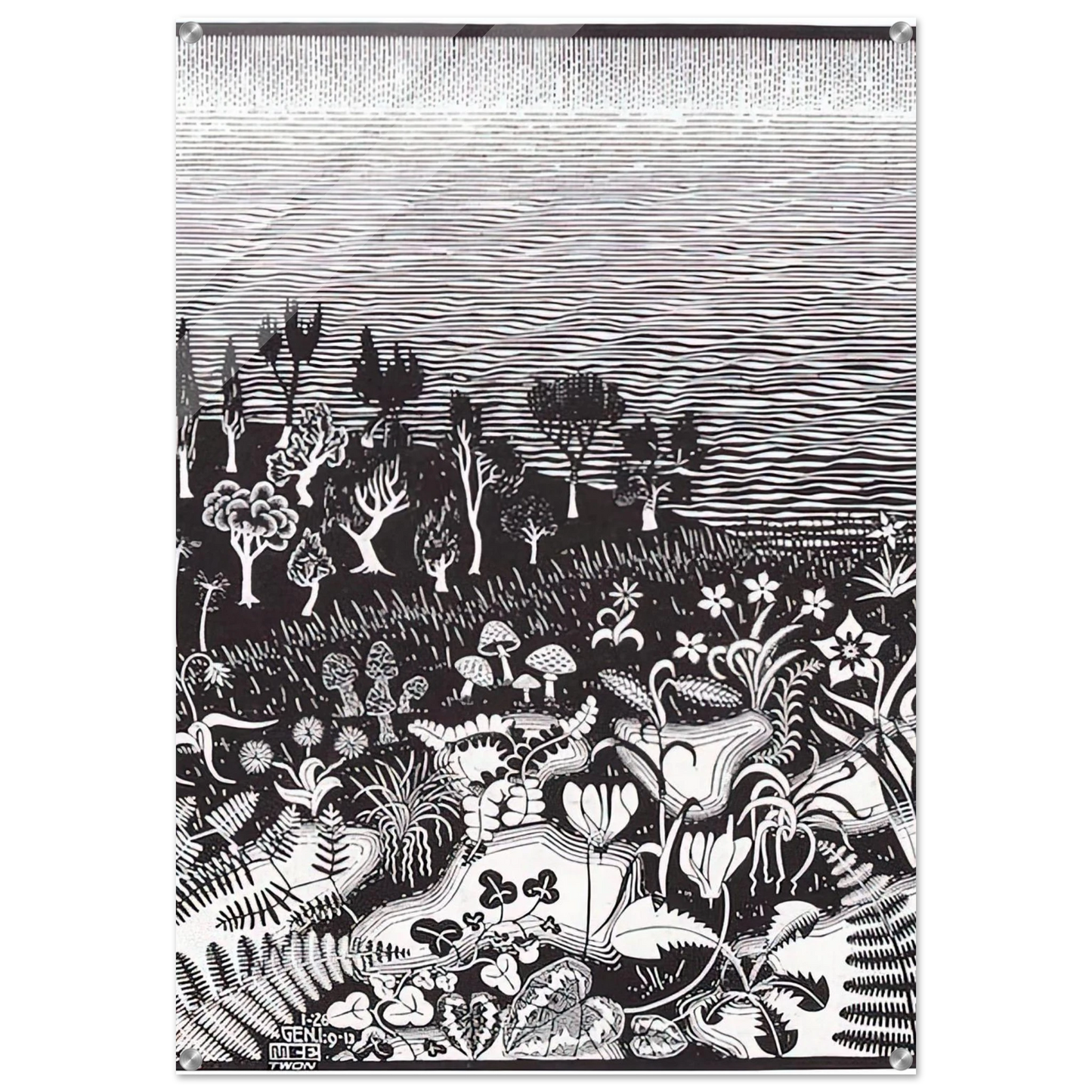 80ea4b05-1c3b-4b90-8f8d-d843f882f558