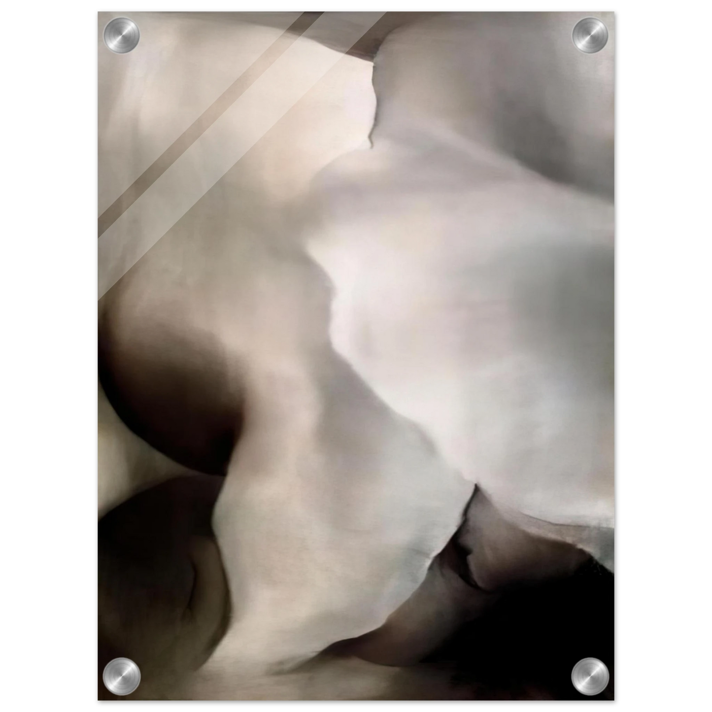 829a0e9e-78a1-4bf9-a390-bc208ba9e6b2