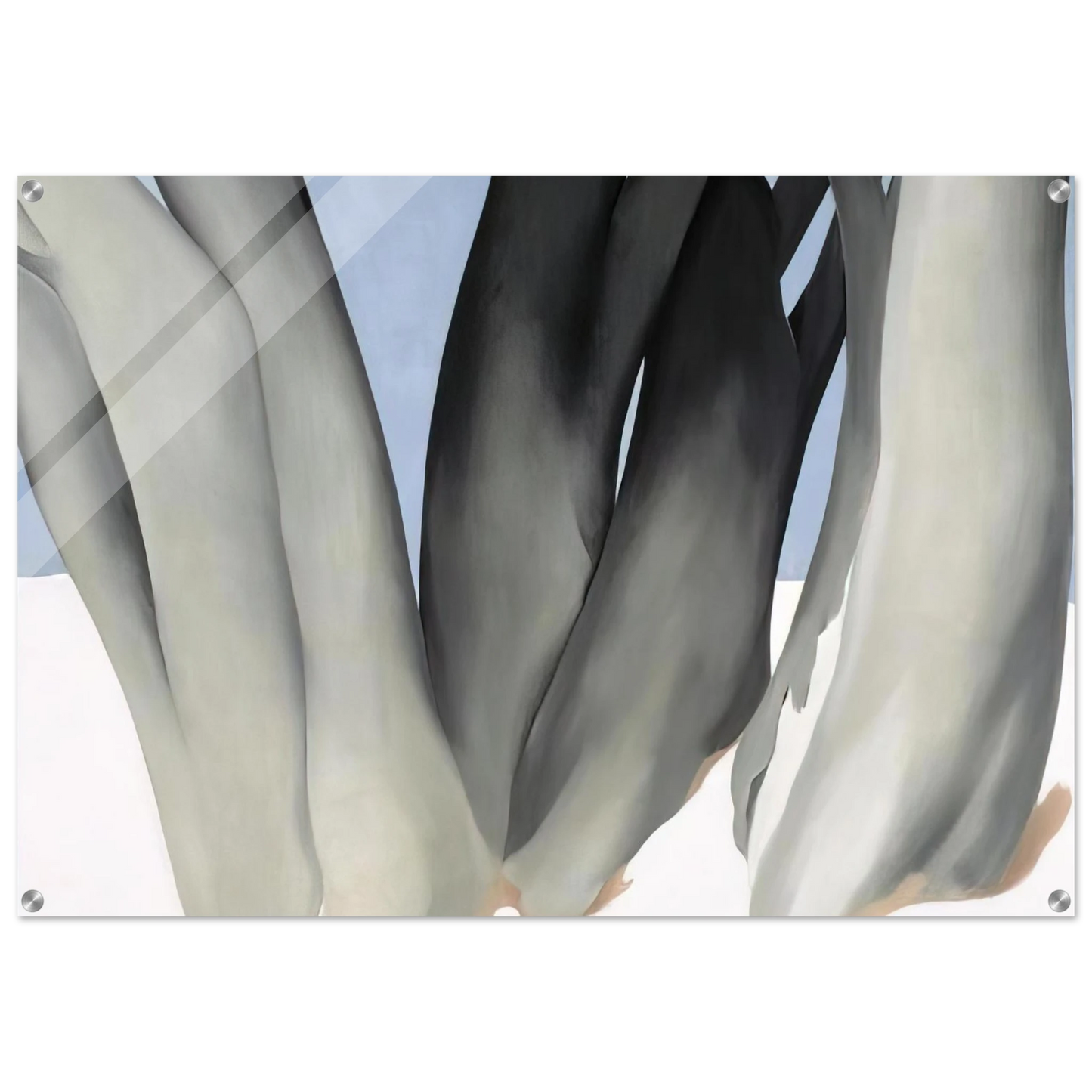 8317864a-d6a9-495e-9ac1-454b3de8e867