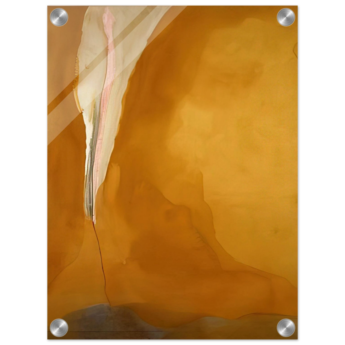 841e5bac-162c-46d2-a60d-dddae5695326