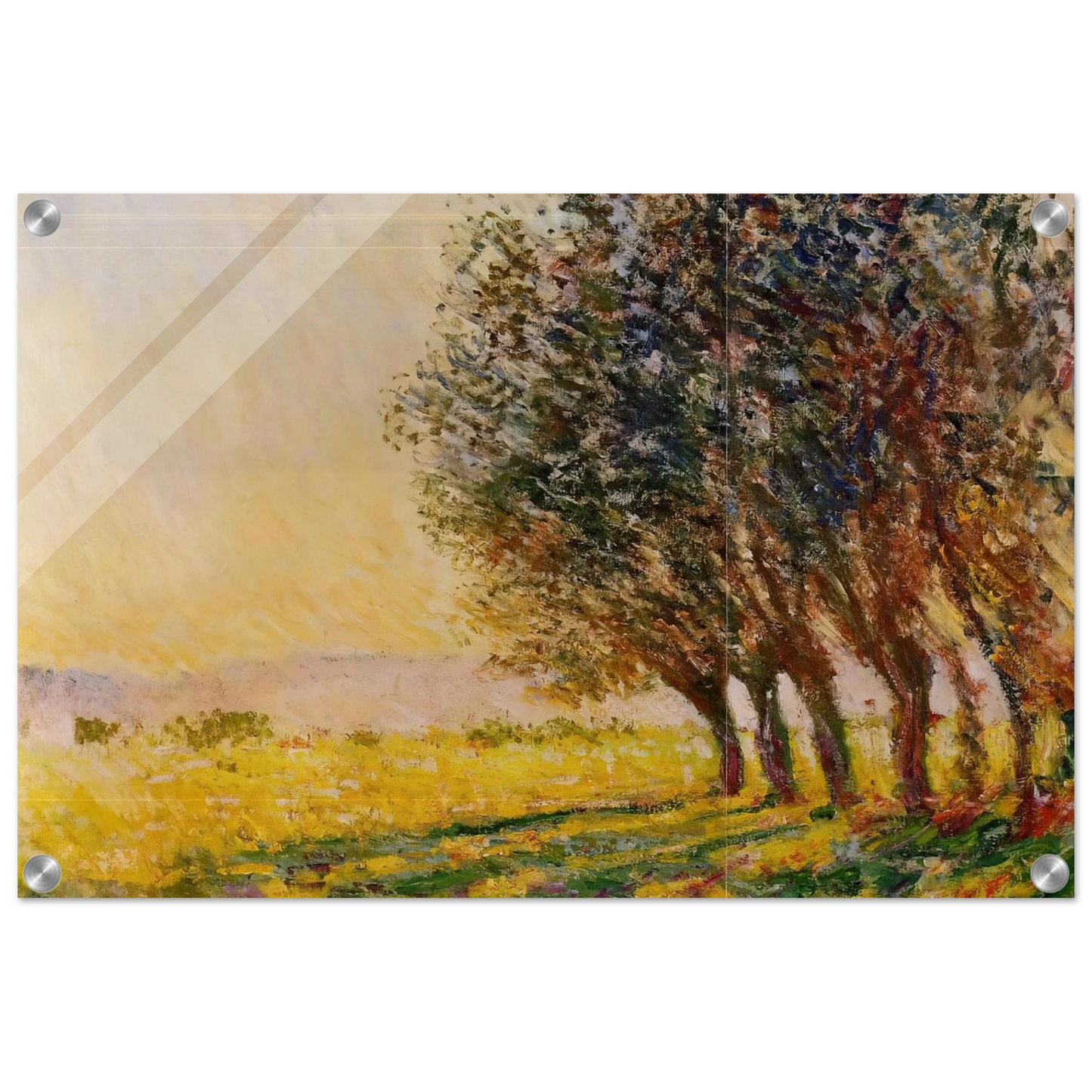 850fcc38-1fe6-4cb4-bd1e-e2864c62fa61