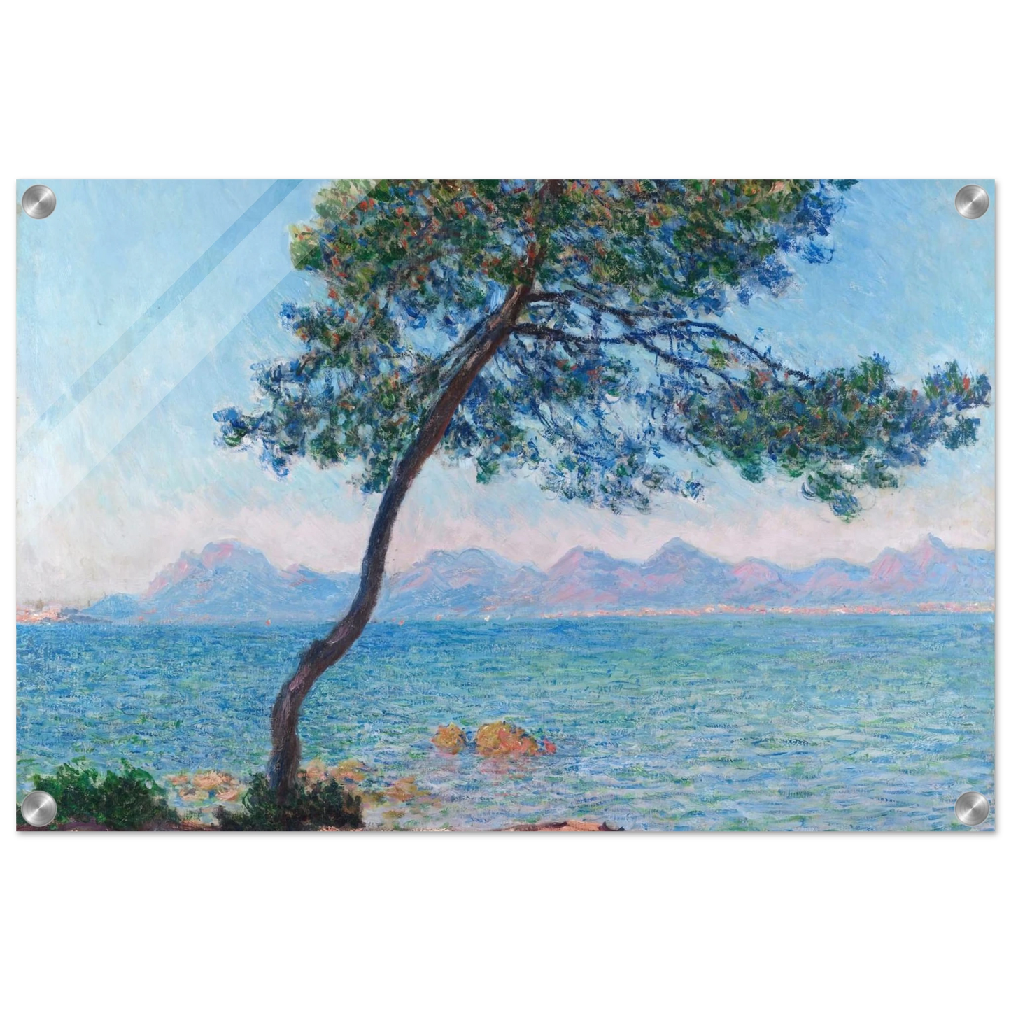 856661af-2516-4a23-9ba4-0c053bc95b97