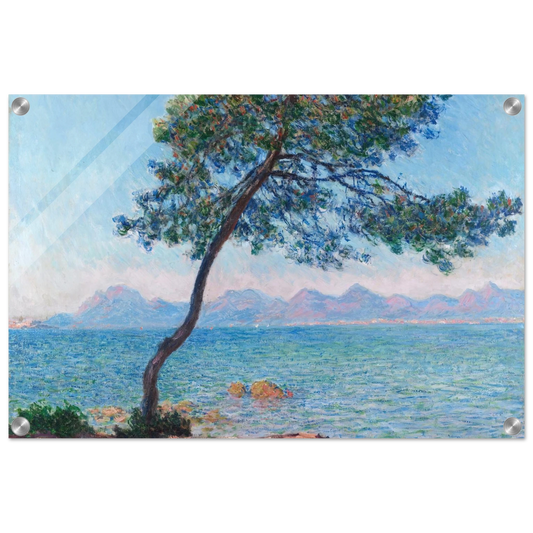 856661af-2516-4a23-9ba4-0c053bc95b97