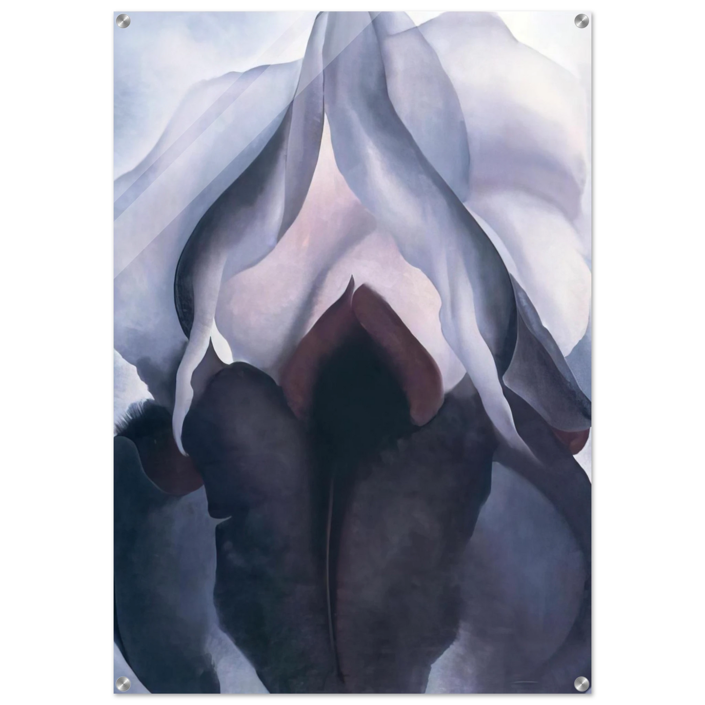 8648996d-4052-4f37-9c10-e6b89897cdd5