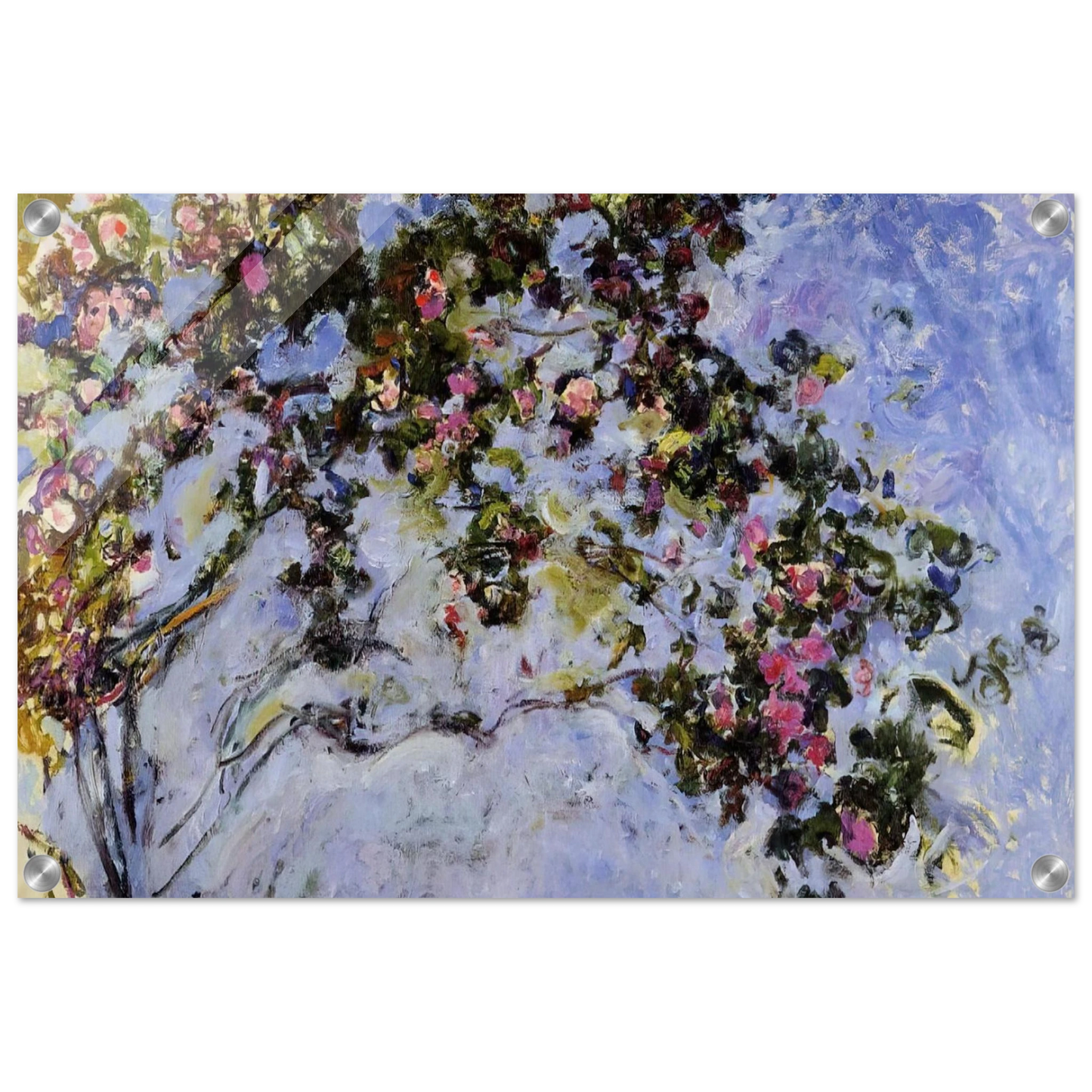 86725fd1-62f7-478f-a5ec-e91640c9eb99