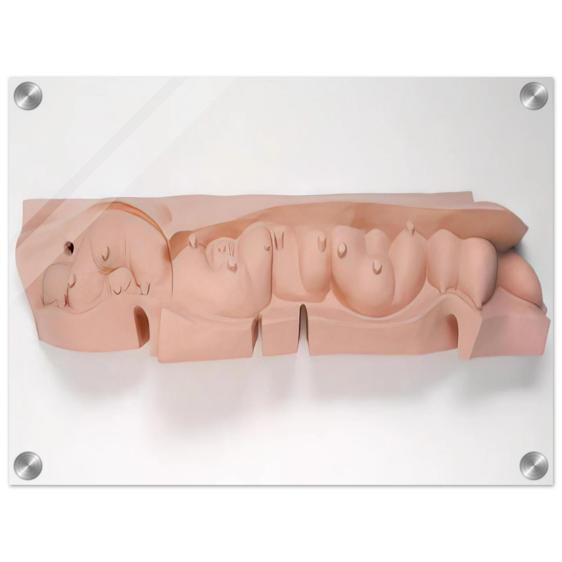 8689ef48-cbe3-45ba-a0a2-f2b4346e48fb