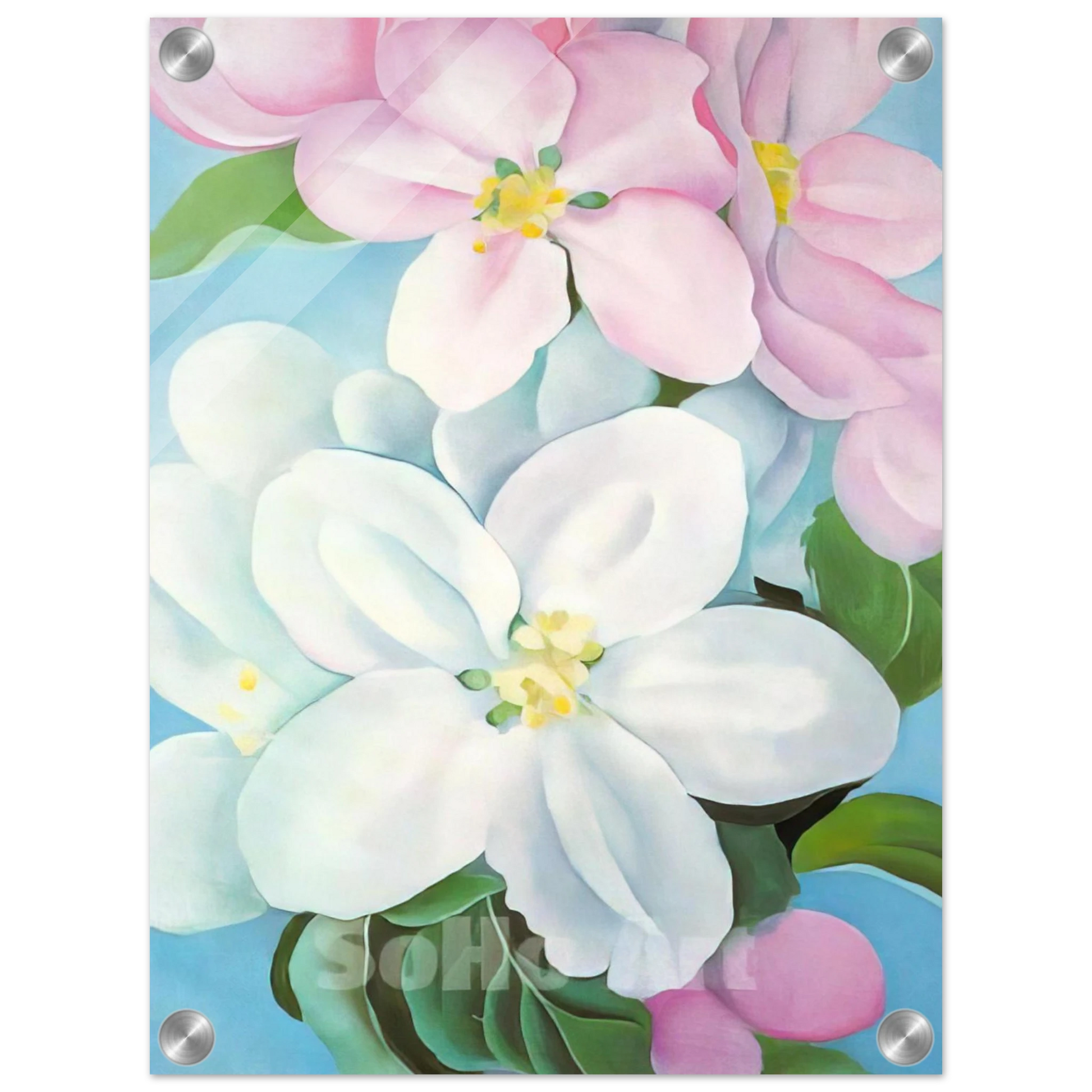 876ec210-c578-4050-a6fe-44d33a4eae30